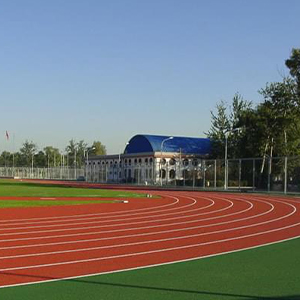 Field elastic runway